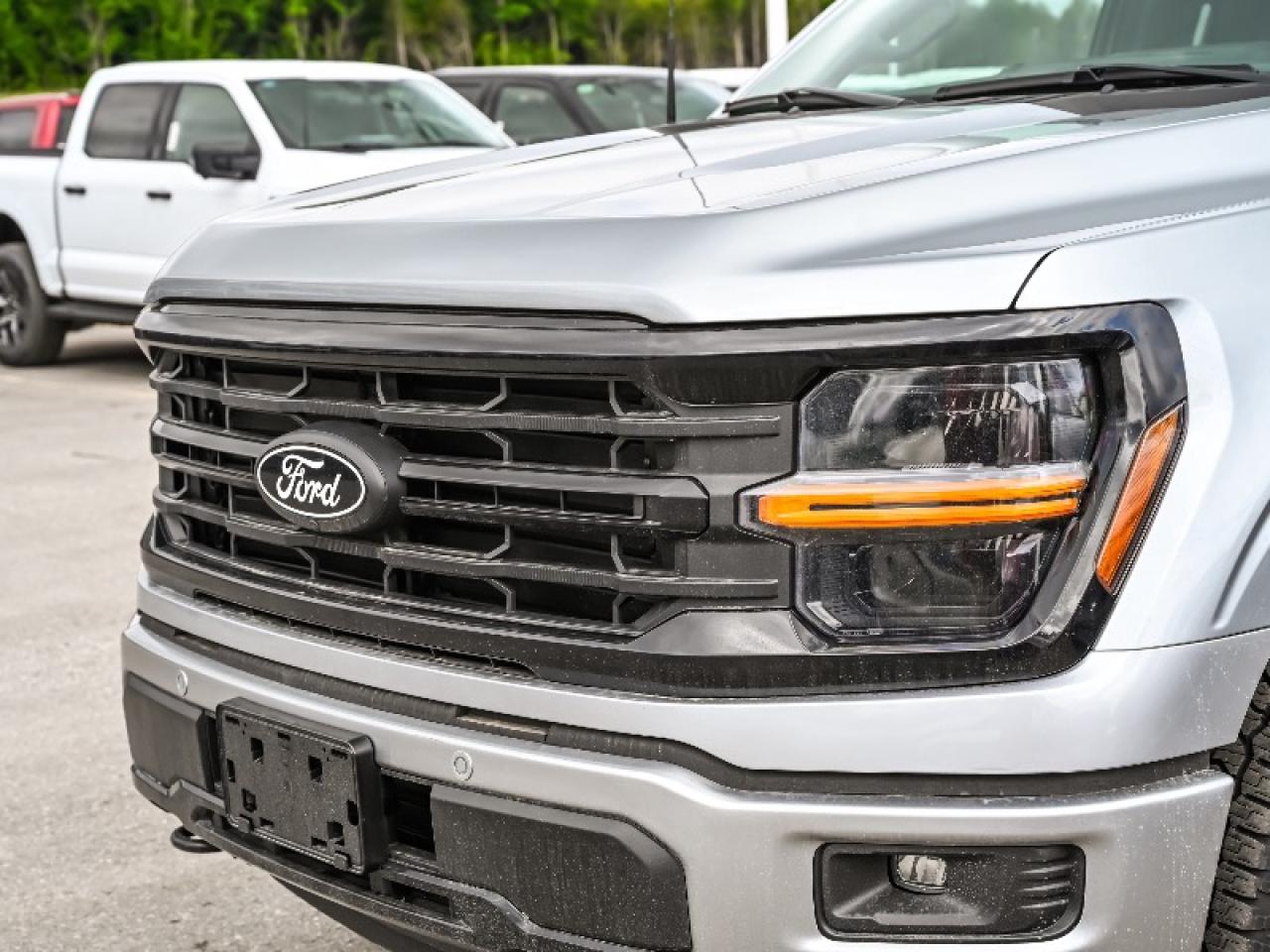 2025 Ford F-150 XLT Photo