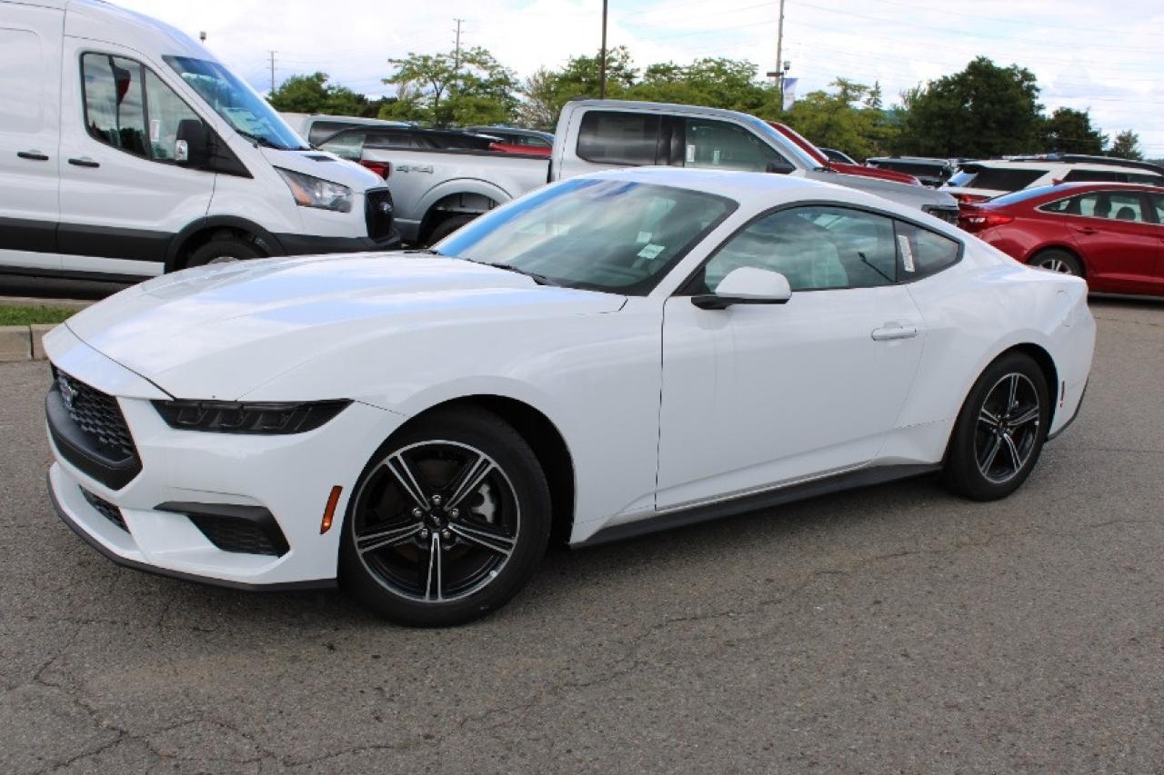 2025 Ford Mustang EcoBoost Fastback Photo