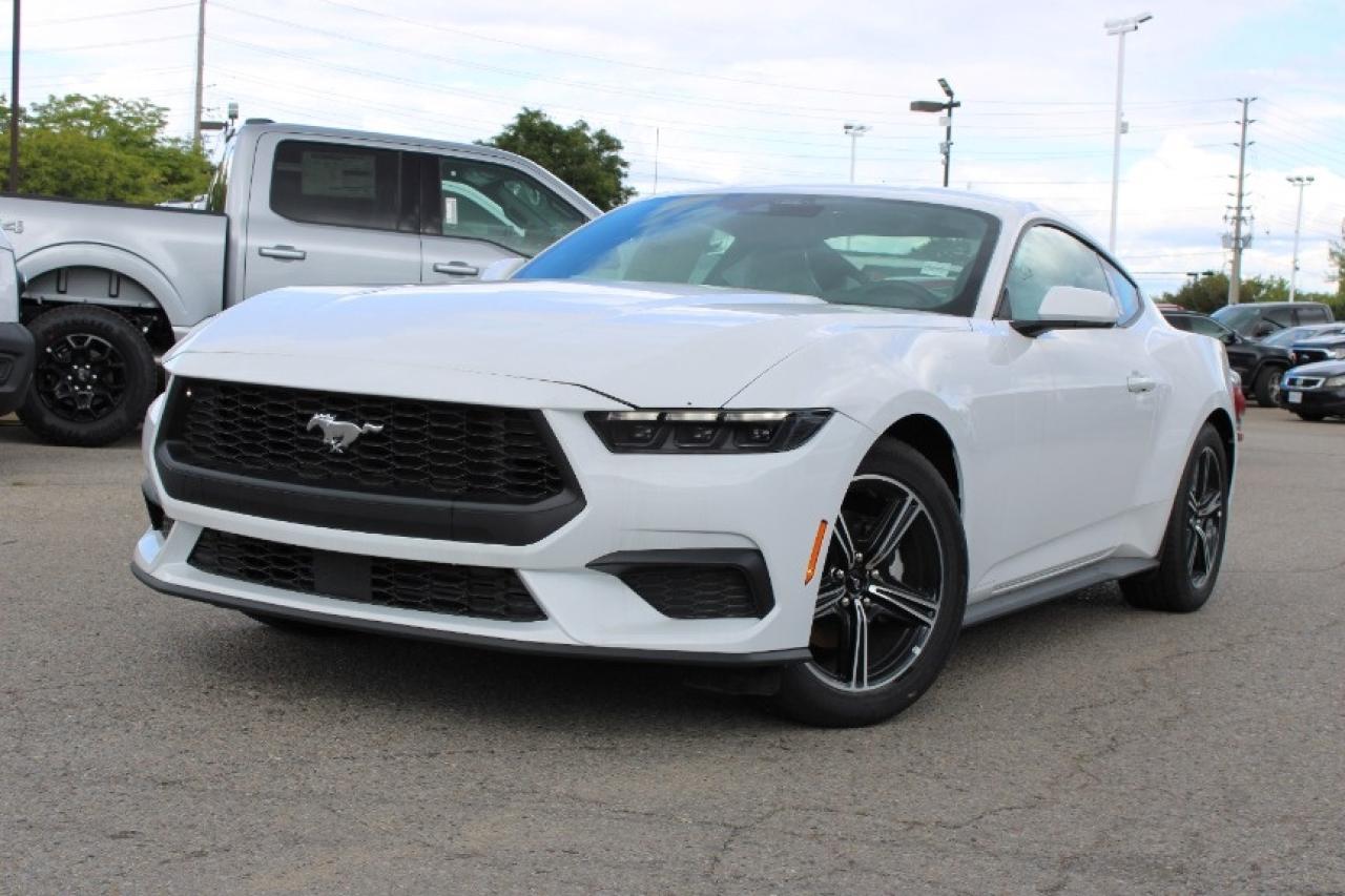 2025 Ford Mustang EcoBoost Fastback Photo2