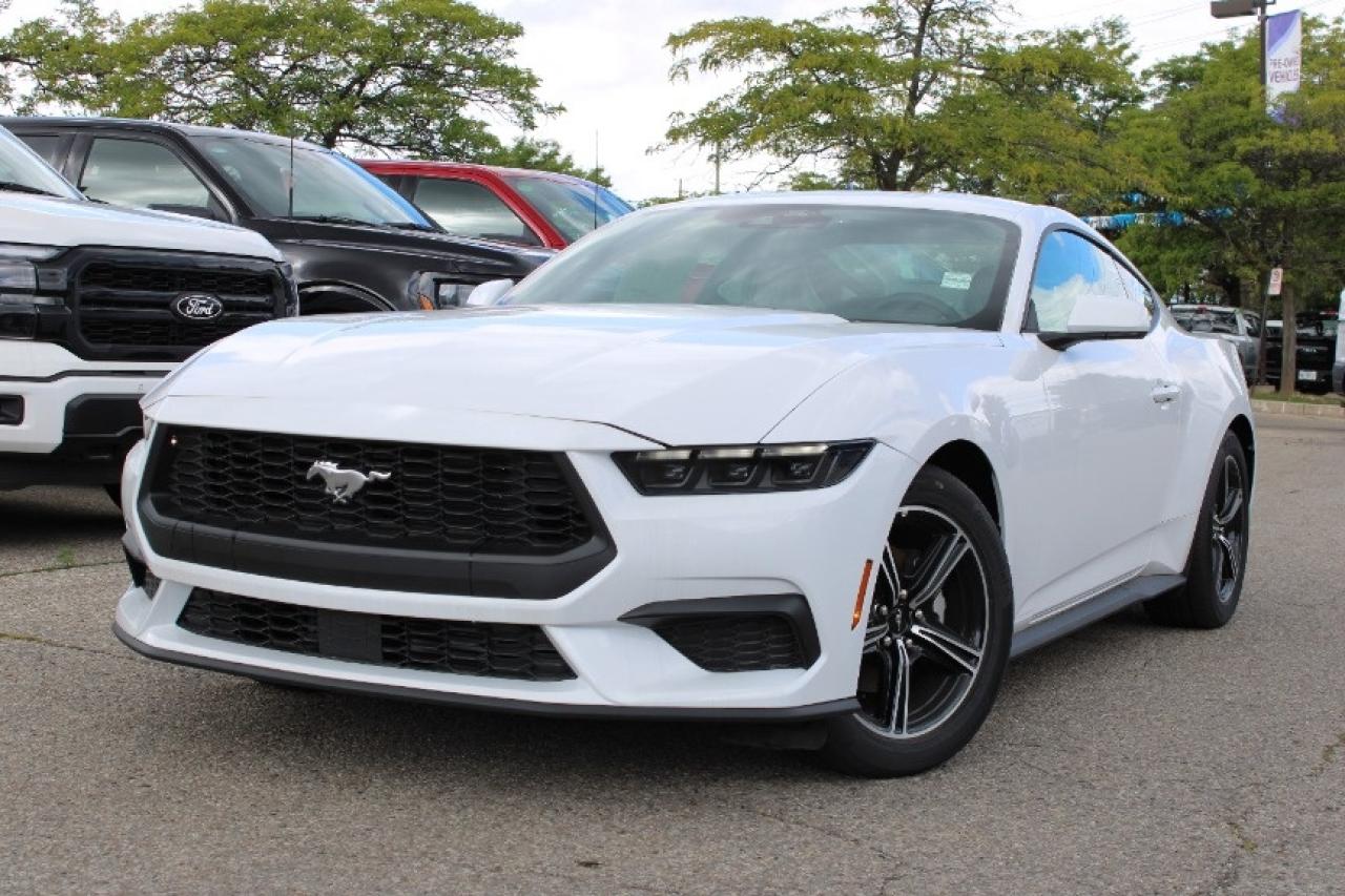 2025 Ford Mustang EcoBoost Fastback Photo0