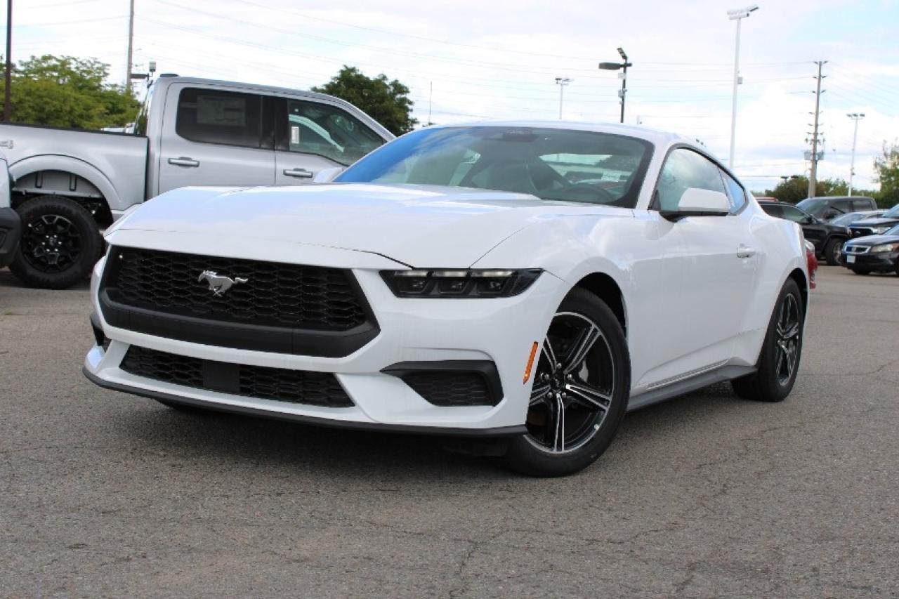 2025 Ford Mustang EcoBoost Fastback Photo