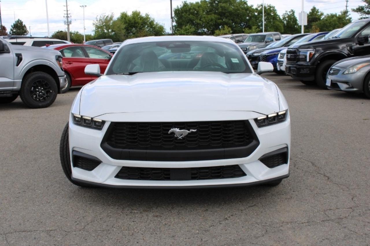 2025 Ford Mustang EcoBoost Fastback Photo3