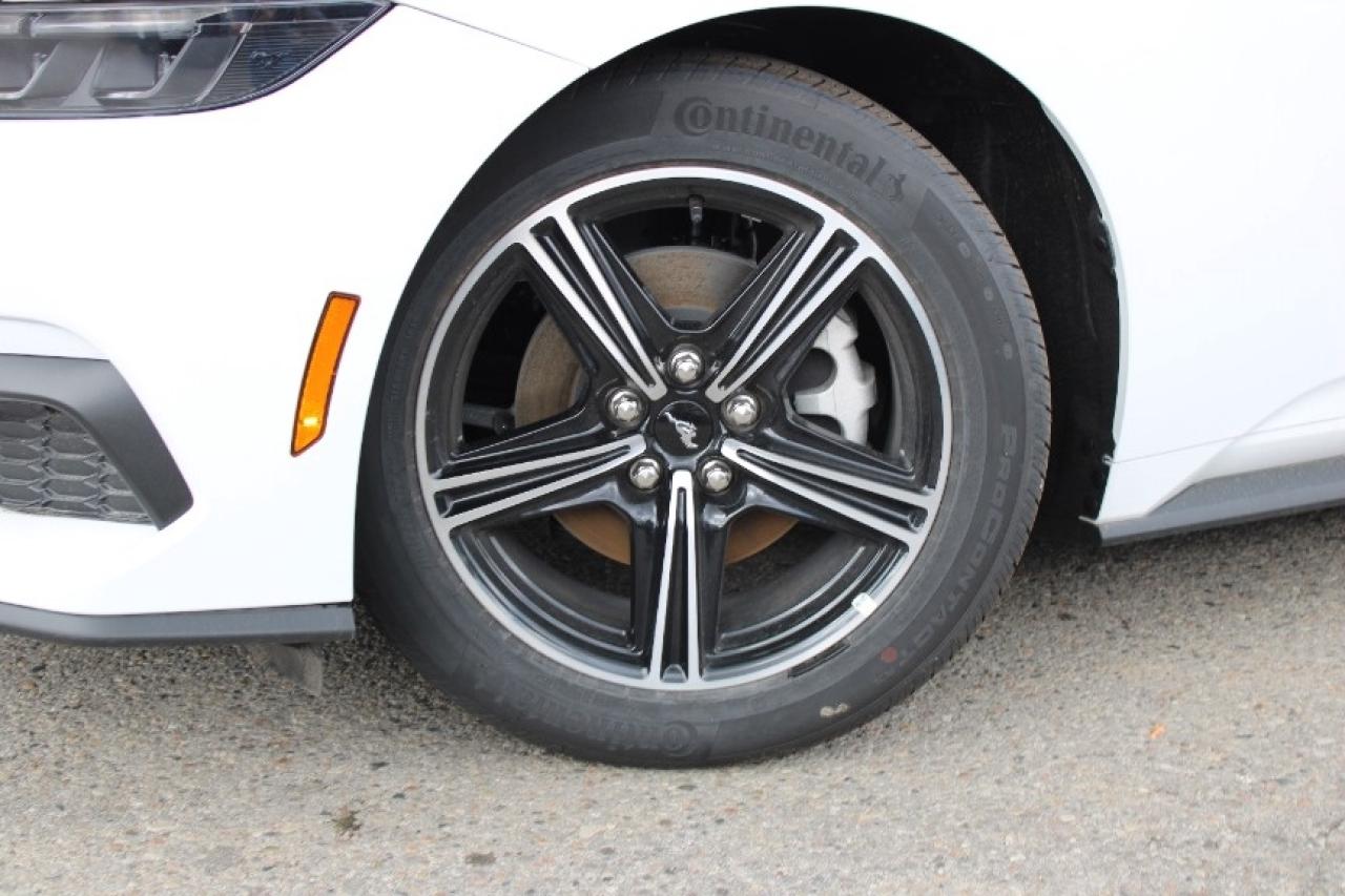 2025 Ford Mustang EcoBoost Fastback Photo