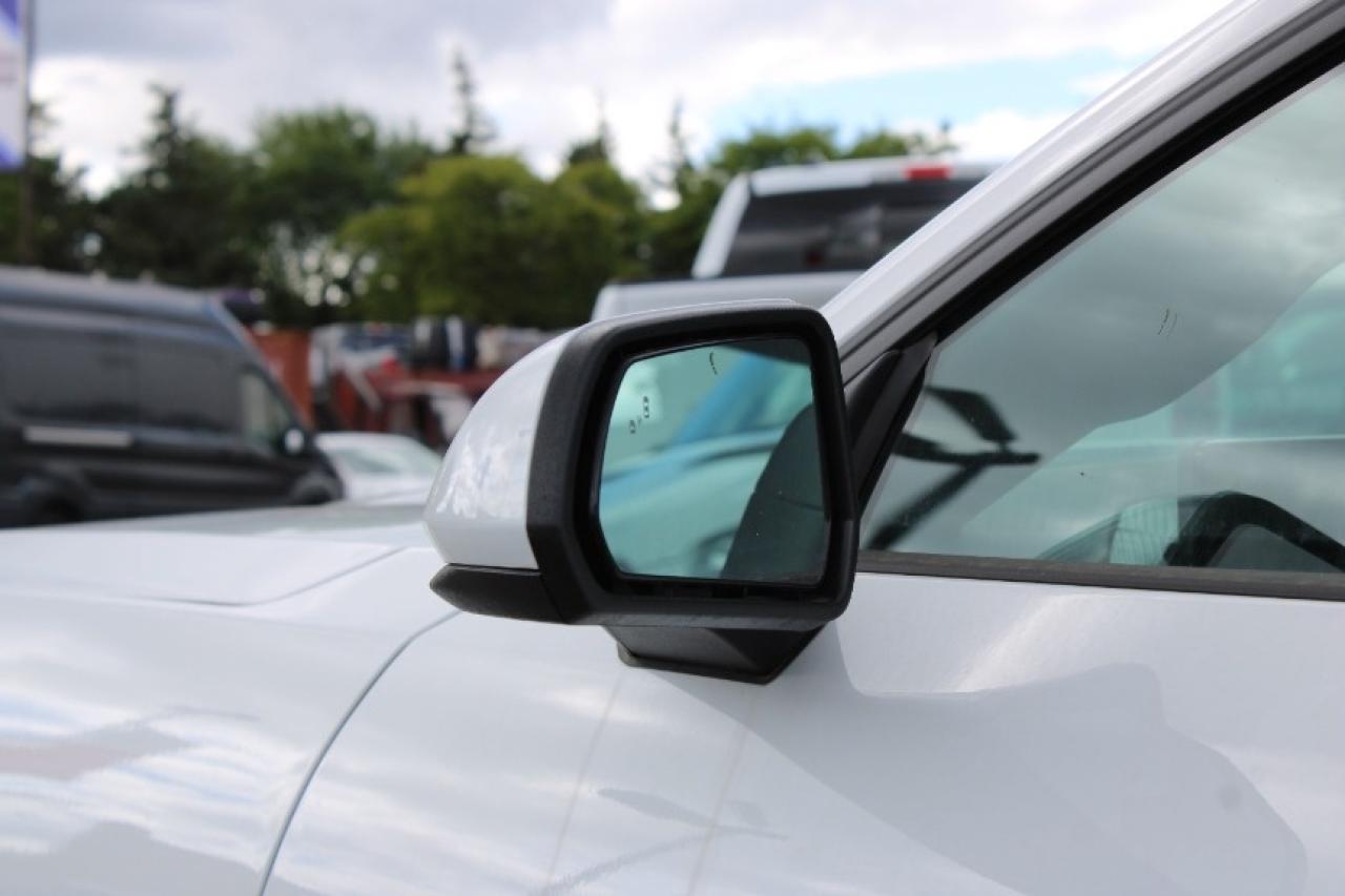 2025 Ford Mustang EcoBoost Fastback Photo