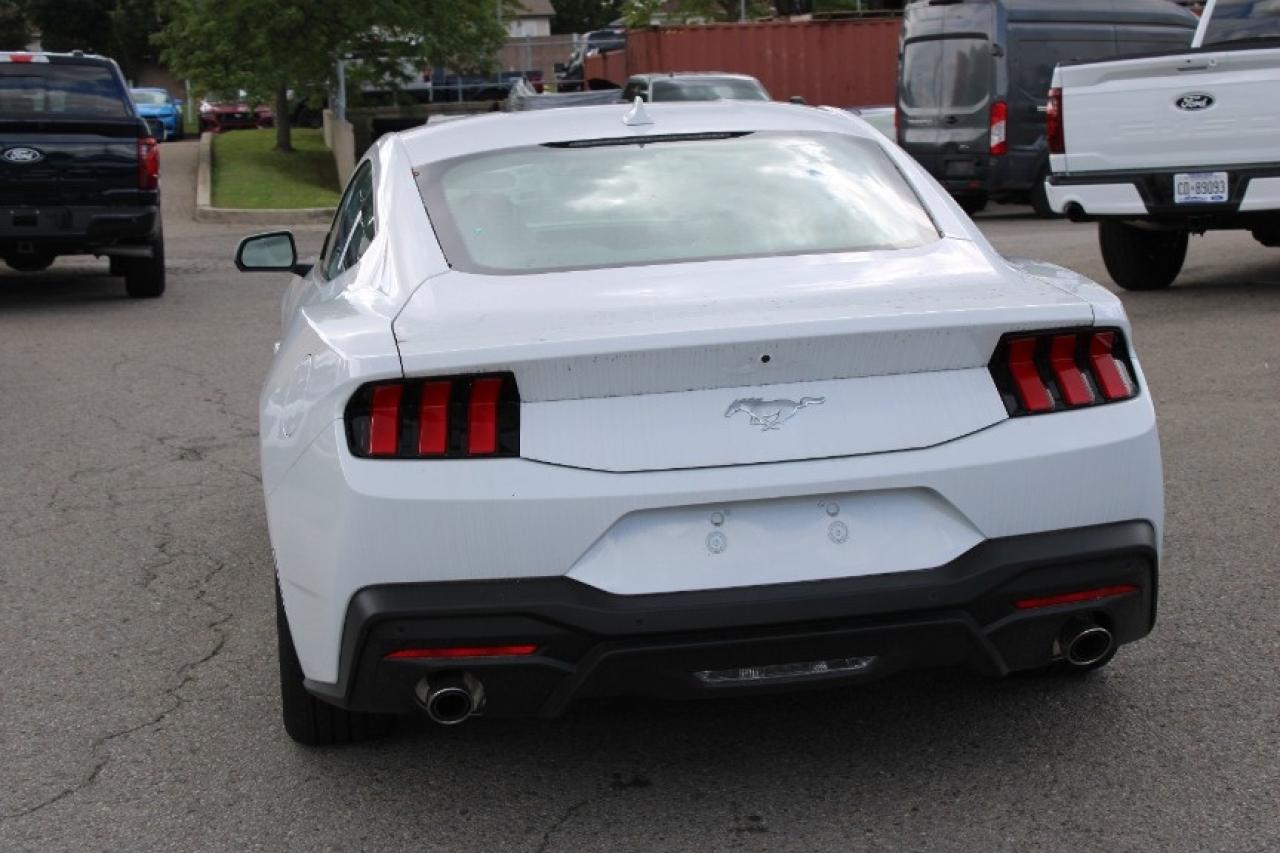 2025 Ford Mustang EcoBoost Fastback Photo