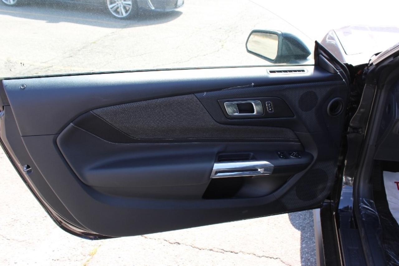 2025 Ford Mustang EcoBoost Fastback Photo