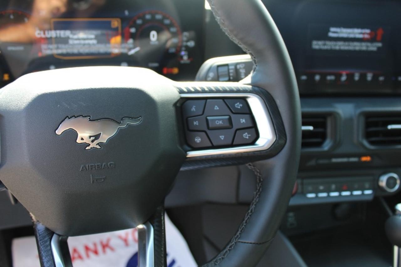 2025 Ford Mustang EcoBoost Fastback Photo