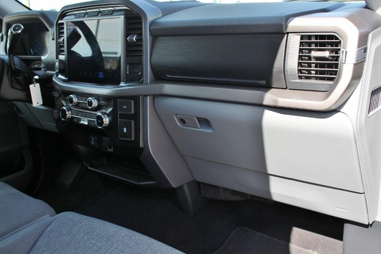 2024 Ford F-150 XLT*Low K's*4x4*CarPlay*Rear Cam*Six Seats - Photo #11