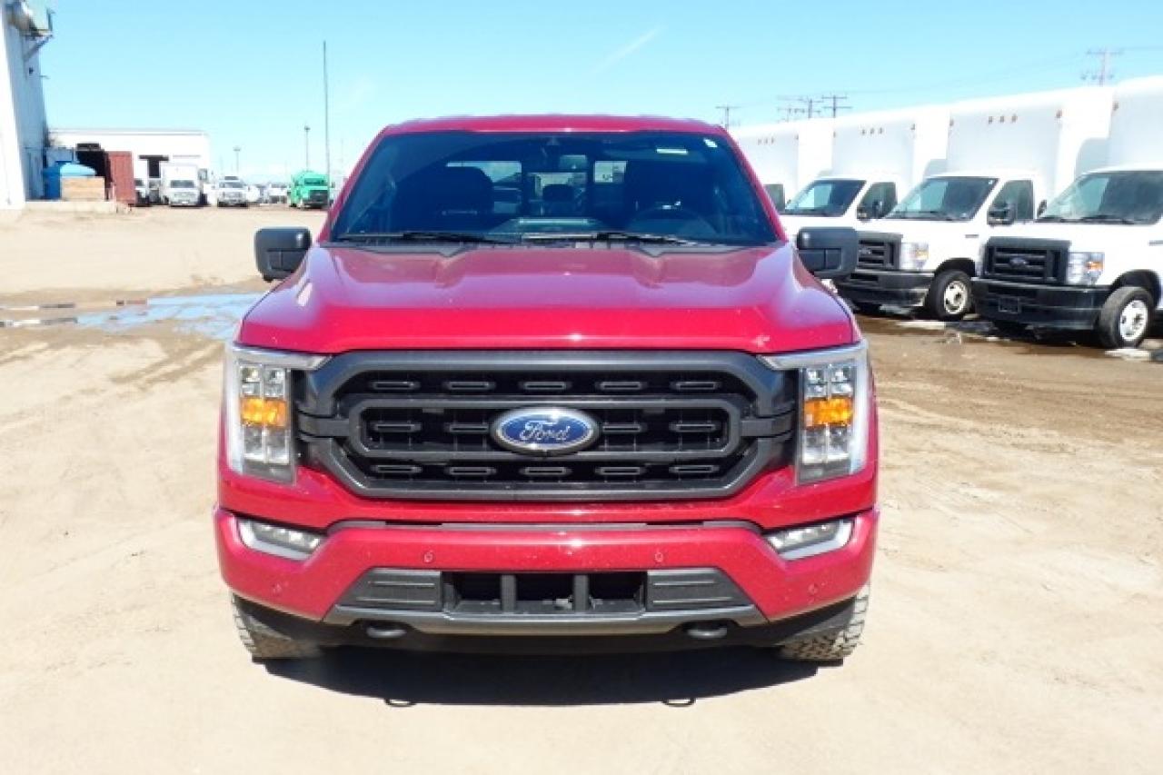 2021 Ford F-150 XLT 4WD SuperCrew 5.5' Box w/Htd Leather, NAV, BUC - Photo #3