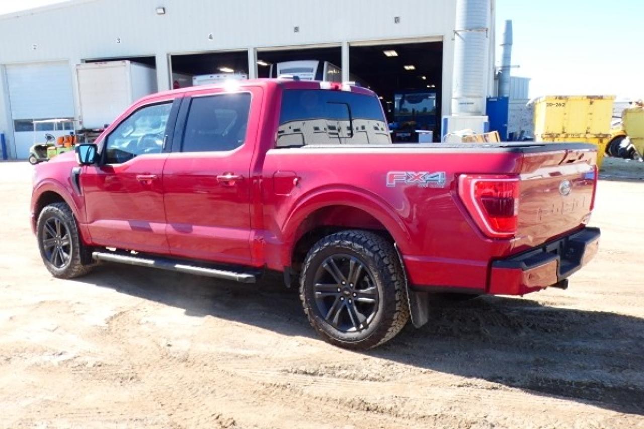 2021 Ford F-150 XLT 4WD SuperCrew 5.5' Box w/Htd Leather, NAV, BUC - Photo #8
