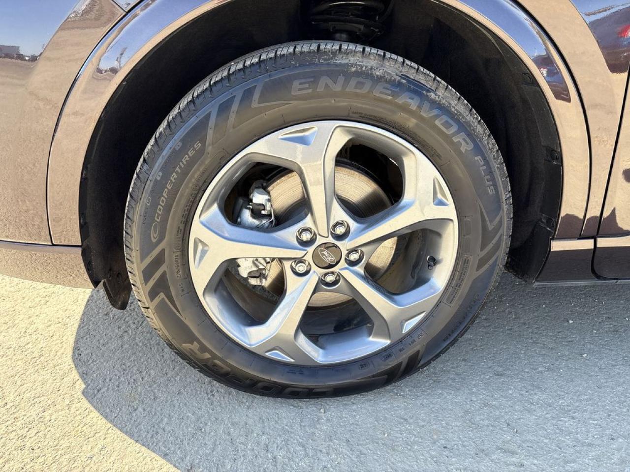 2023 Ford Escape ST-Line Photo2