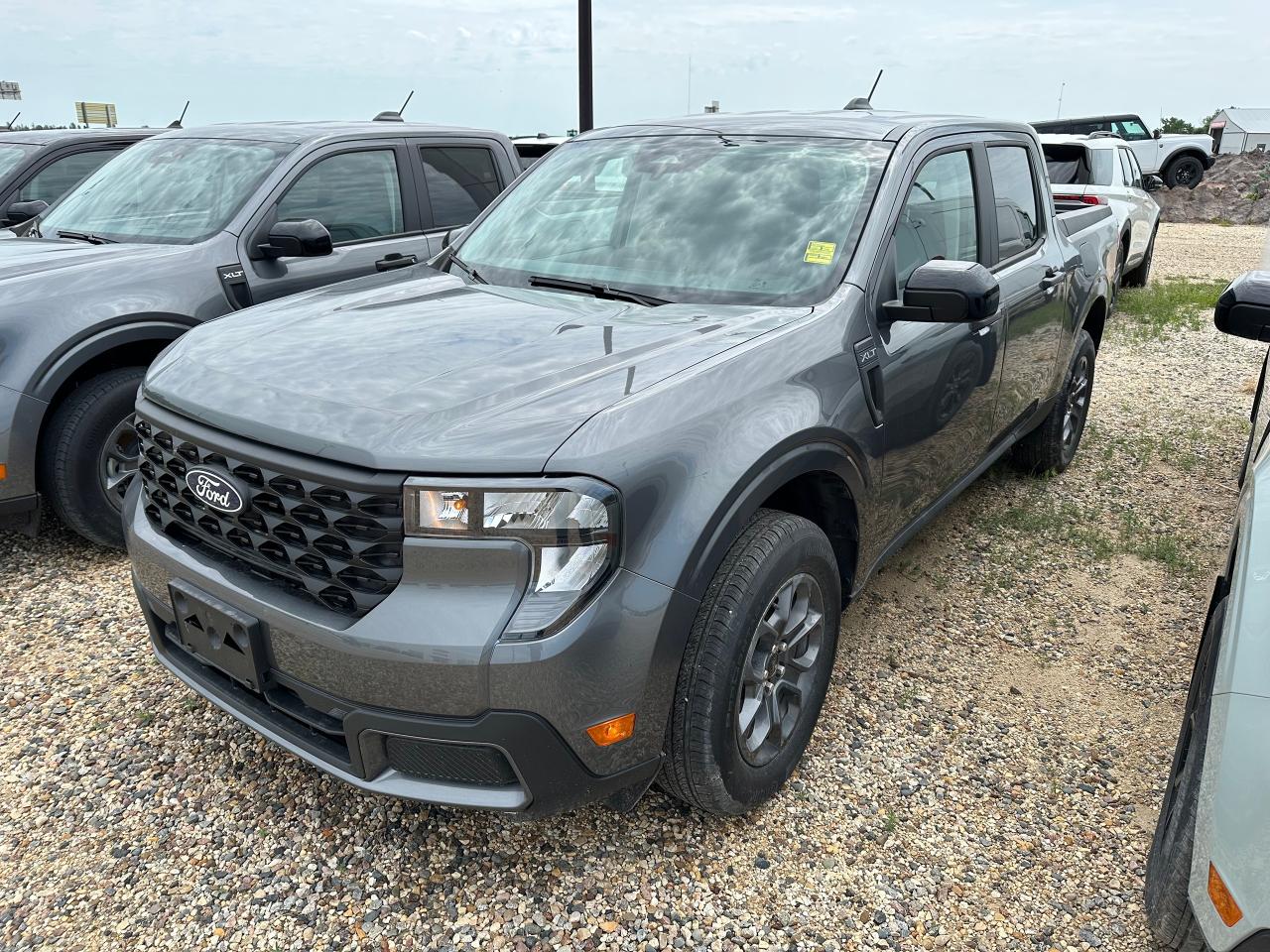 New 2025 Ford Maverick XLT AWD SuperCrew 302A for sale in Elie, MB