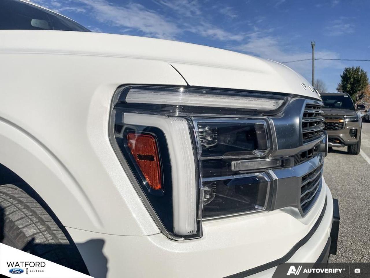 2025 Ford F-150 Hybrid PLATINUM Photo