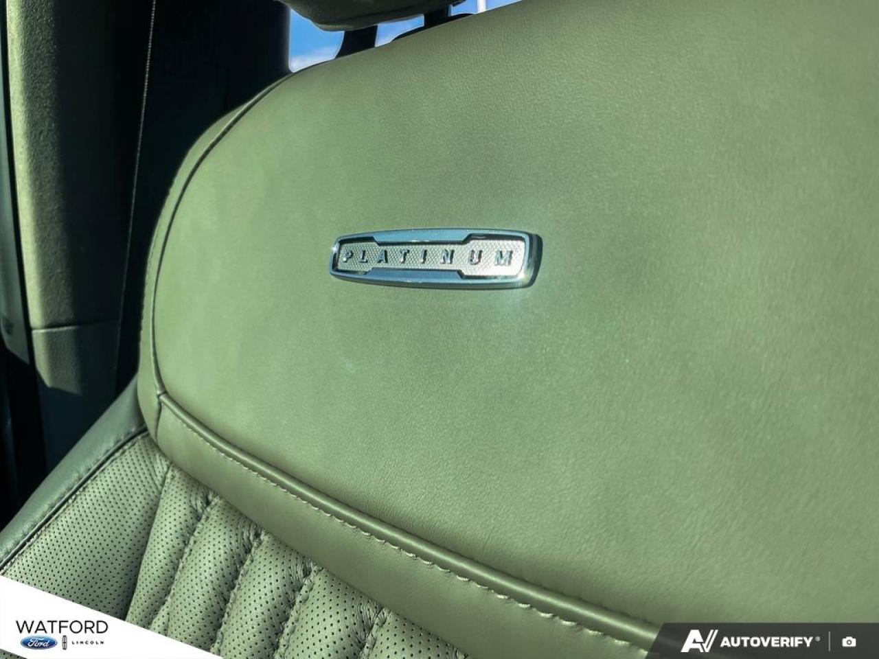 2025 Ford F-150 Hybrid PLATINUM Photo