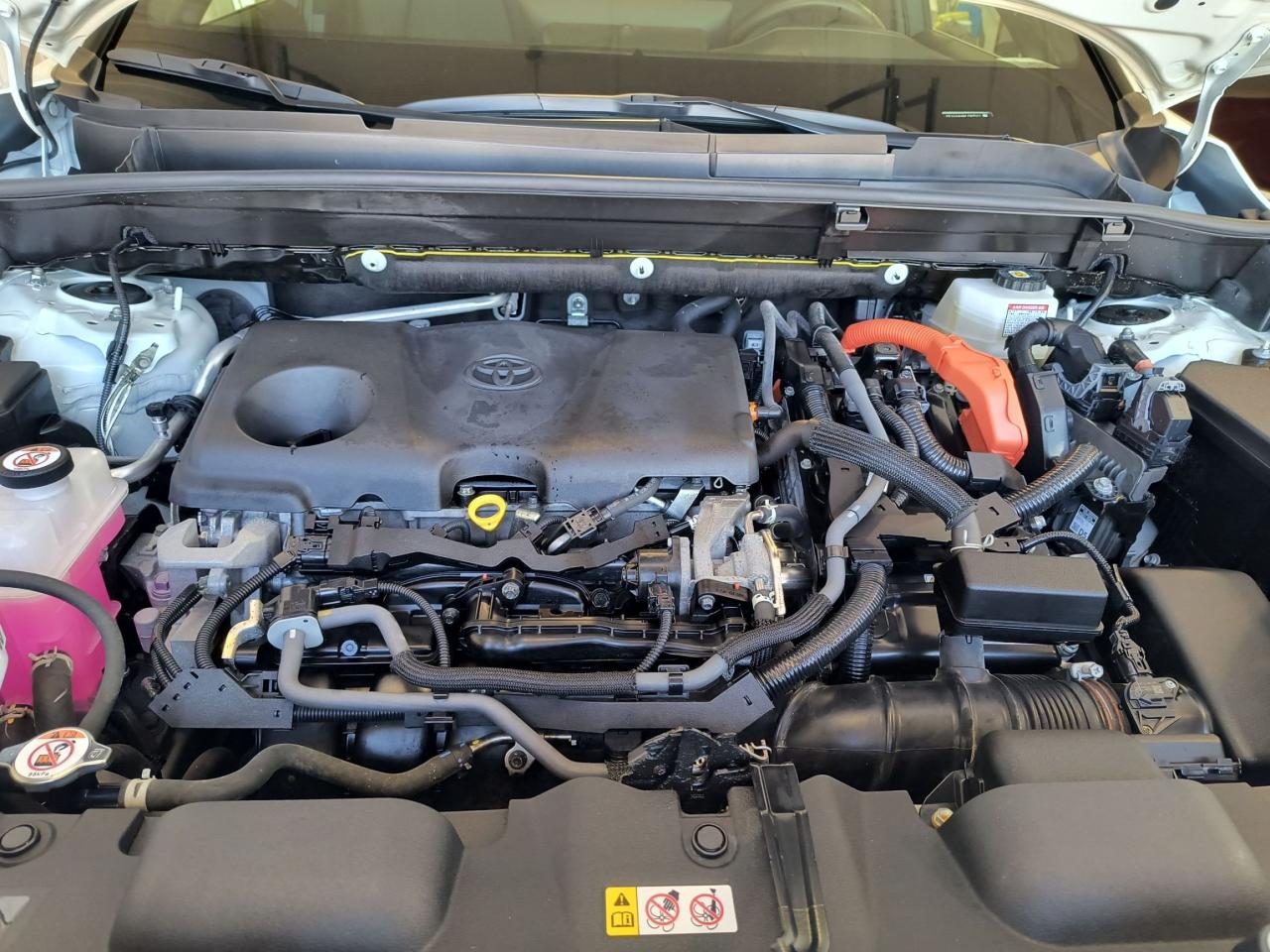 2021 Toyota Venza LIMITED AWD Photo