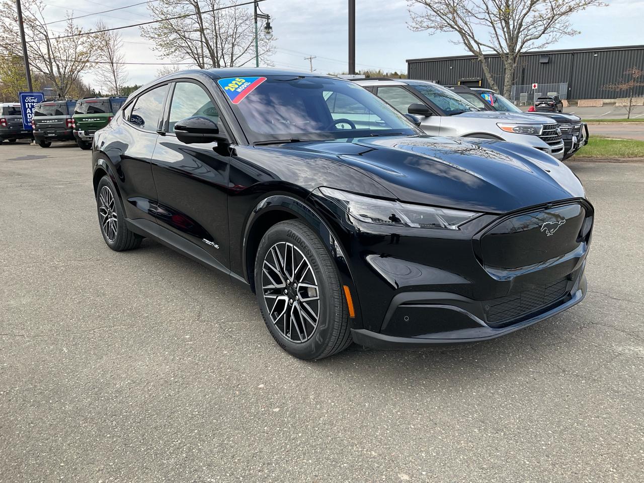 2025 Ford Mustang Mach-E Premium Photo