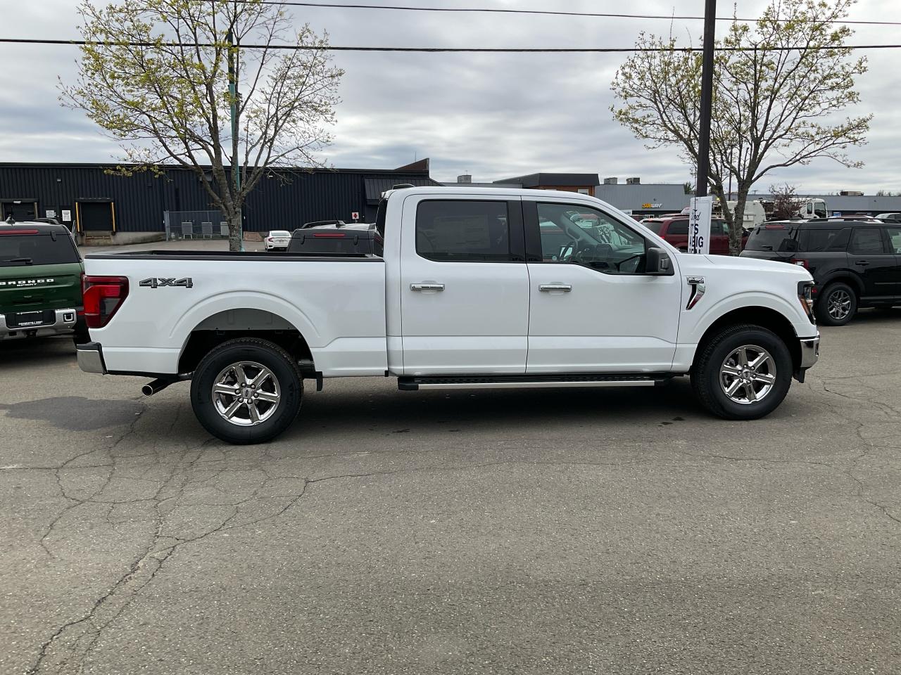 2025 Ford F-150 XLT Photo5