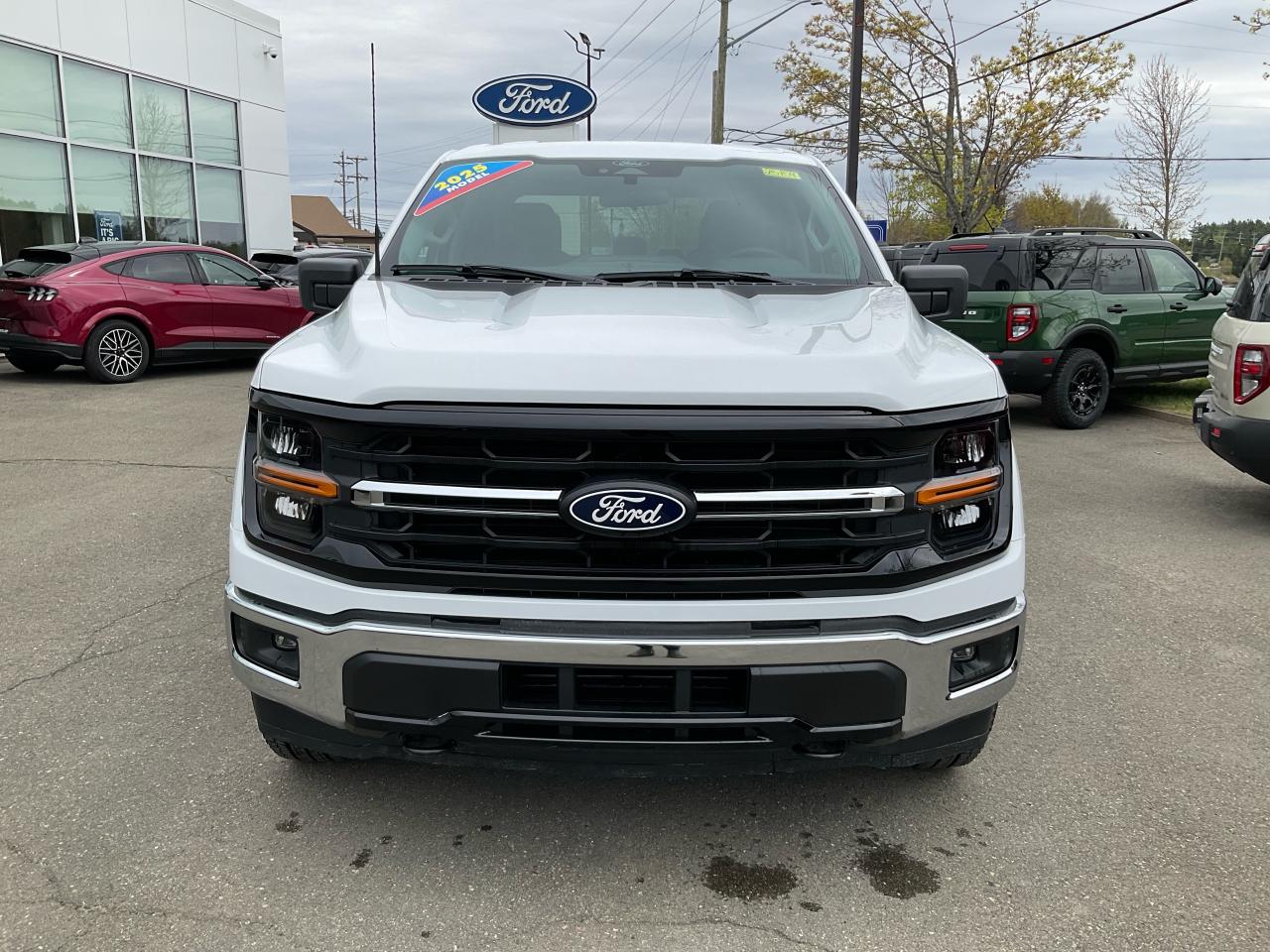 2025 Ford F-150 XLT Photo