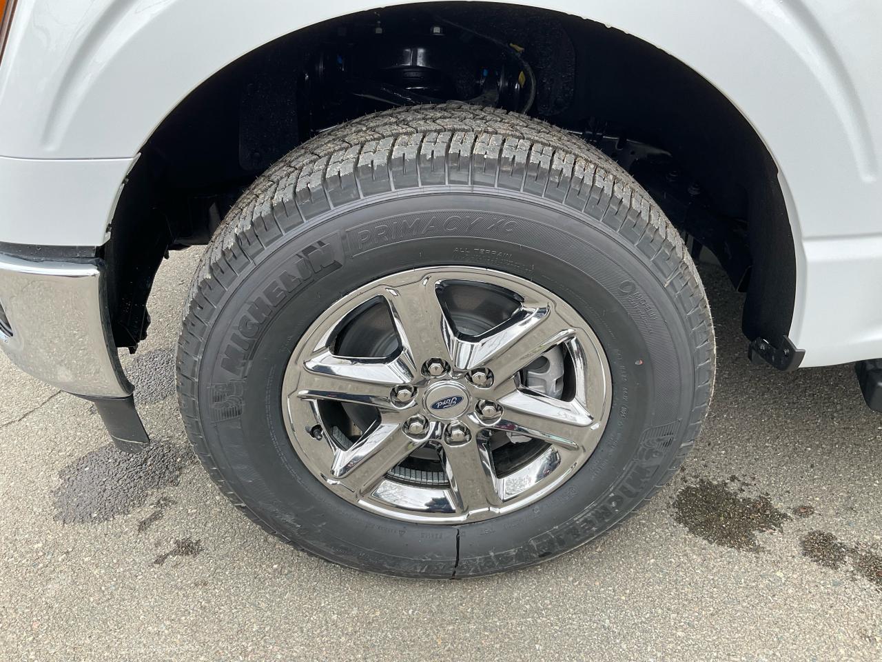 2025 Ford F-150 XLT Photo5