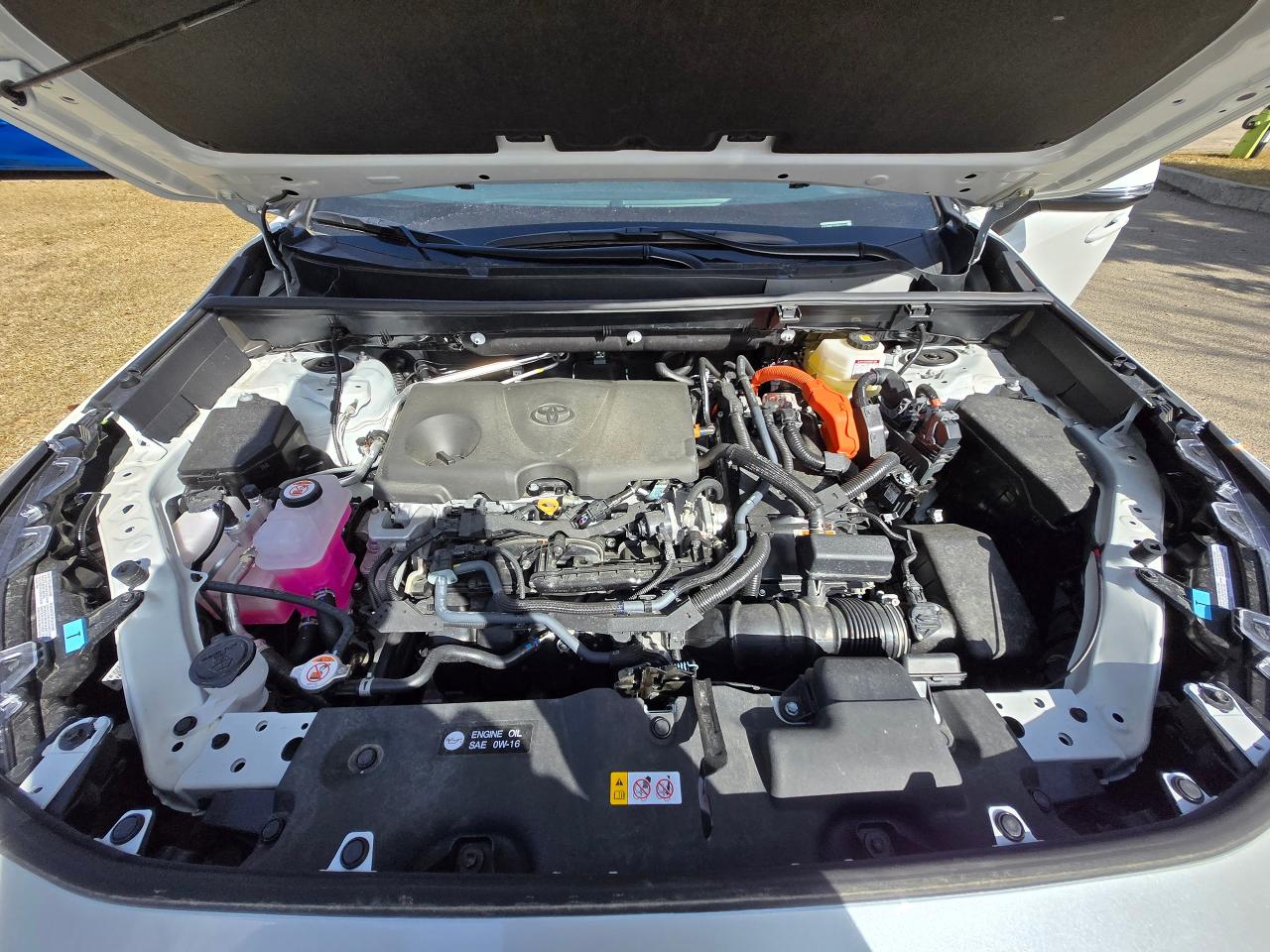 2024 Toyota RAV4 Hybrid XLE | ALL CREDIT ACCEPTED!! - Photo #21