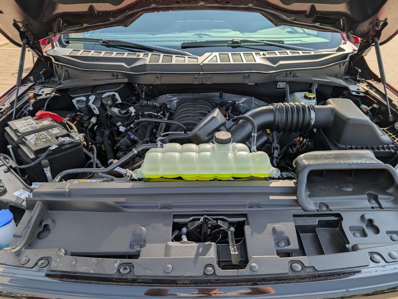 2025 Ford F-150 XLT Photo5