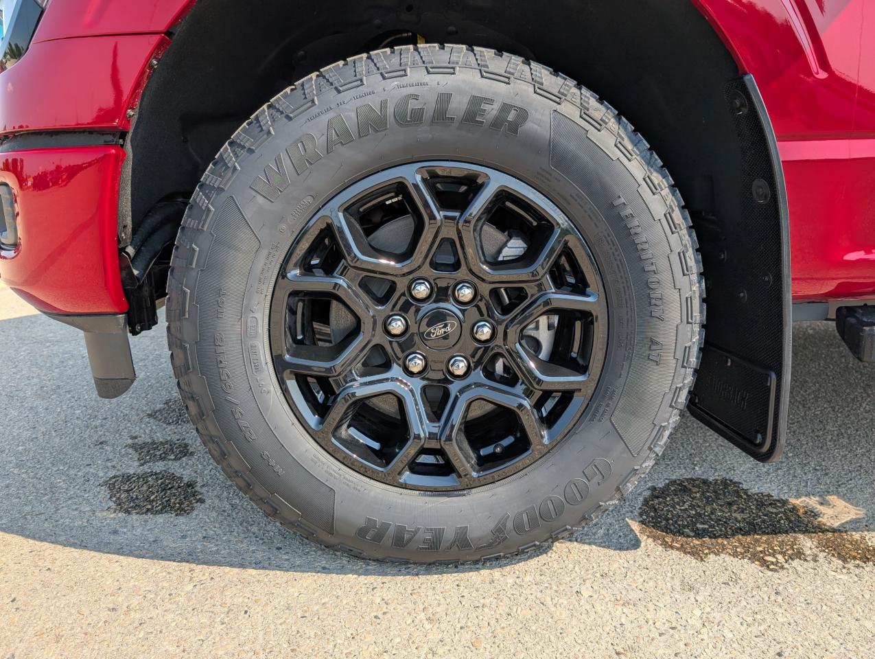 2025 Ford F-150 XLT Photo5