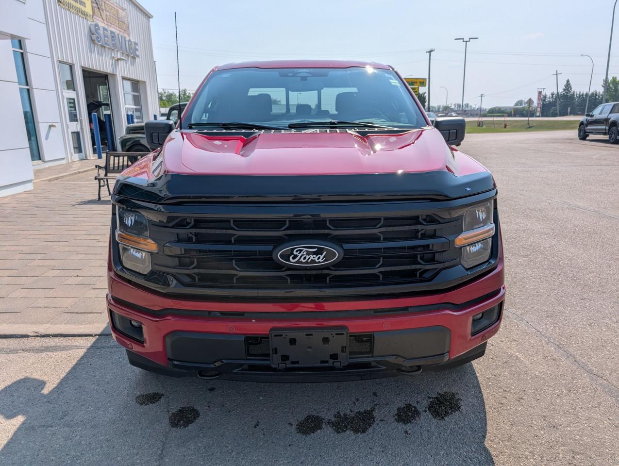 2025 Ford F-150 XLT Photo2