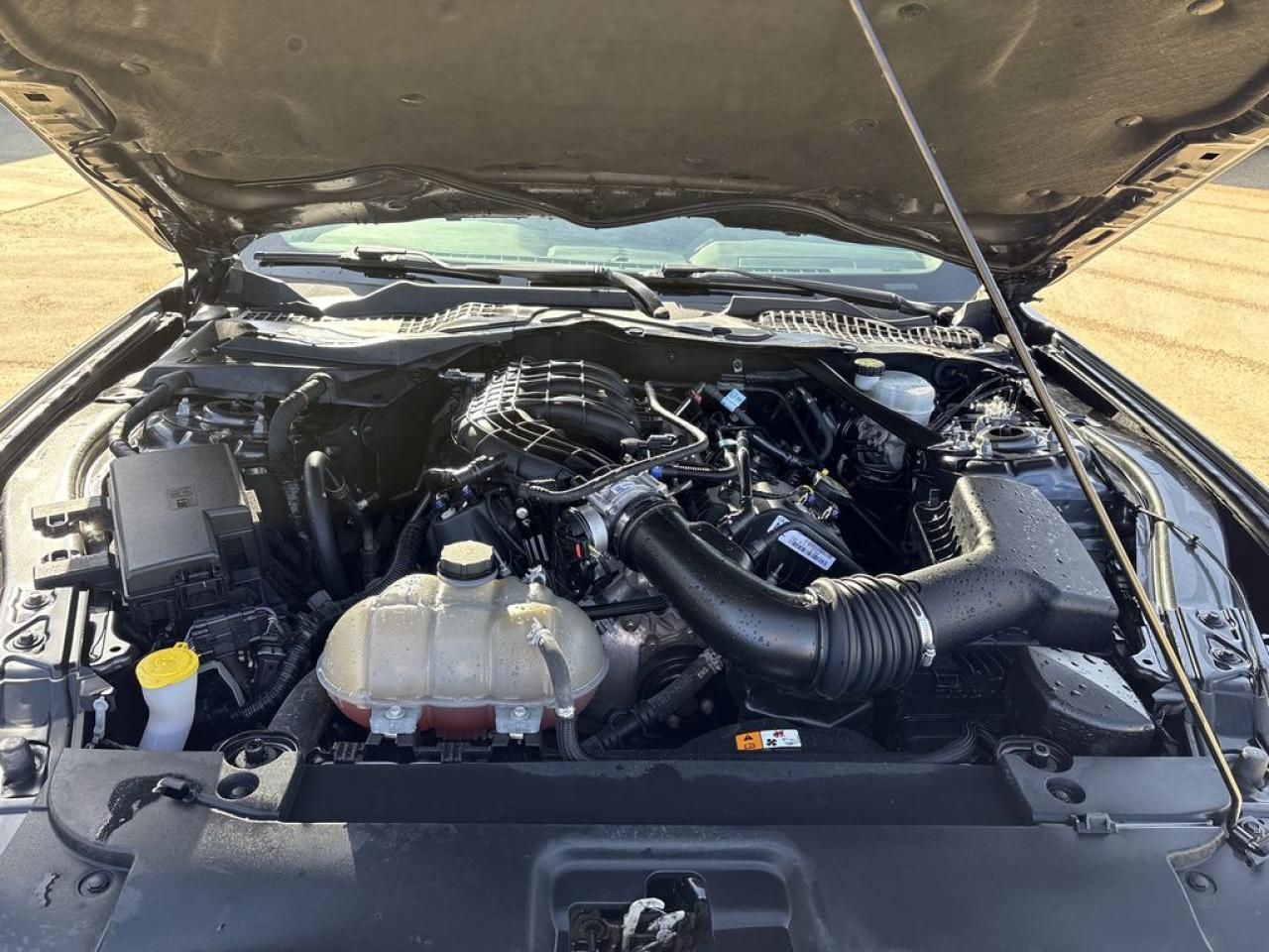2017 Ford Mustang V6 Photo5