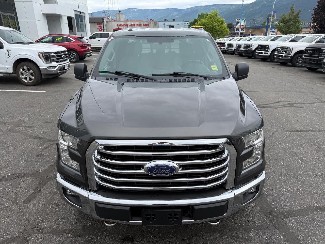 2015 Ford F-150 XLT Photo5