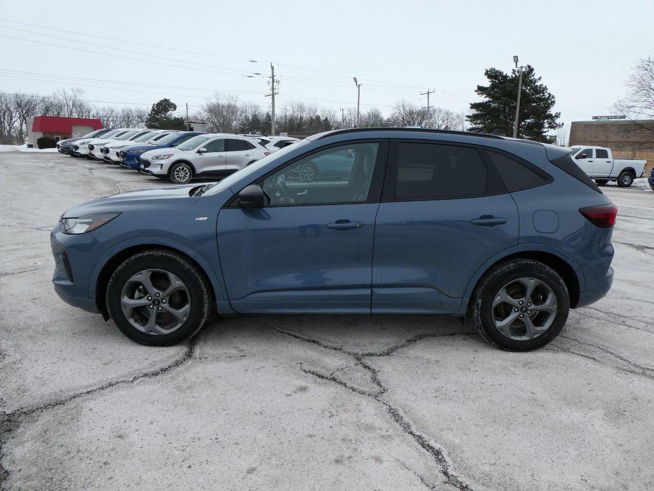 2024 Ford Escape ST-Line Photo