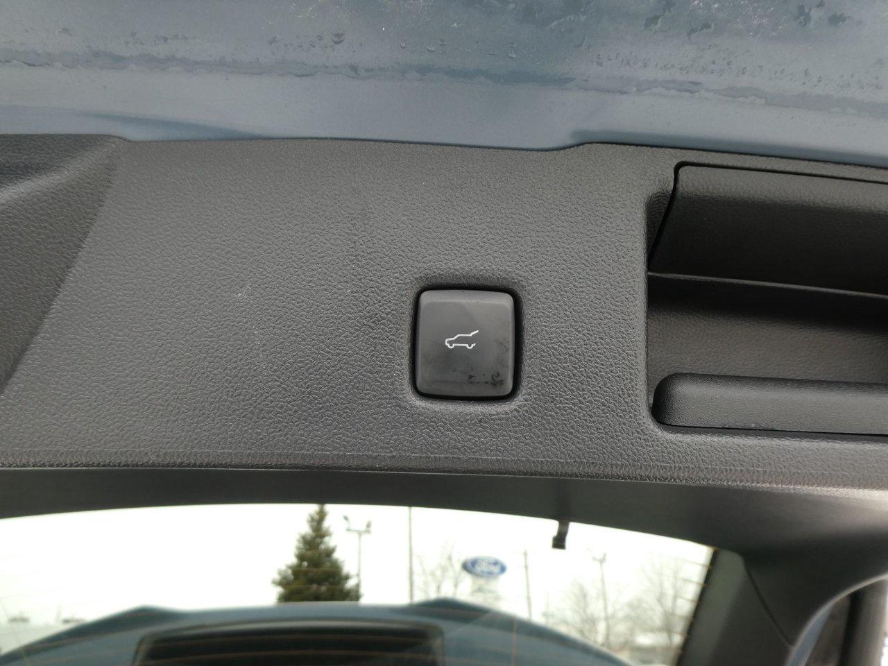 2024 Ford Escape ST-Line Photo