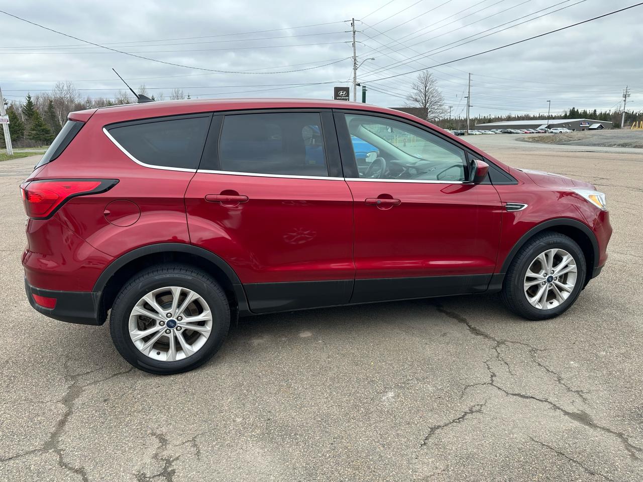 2019 Ford Escape SE Photo