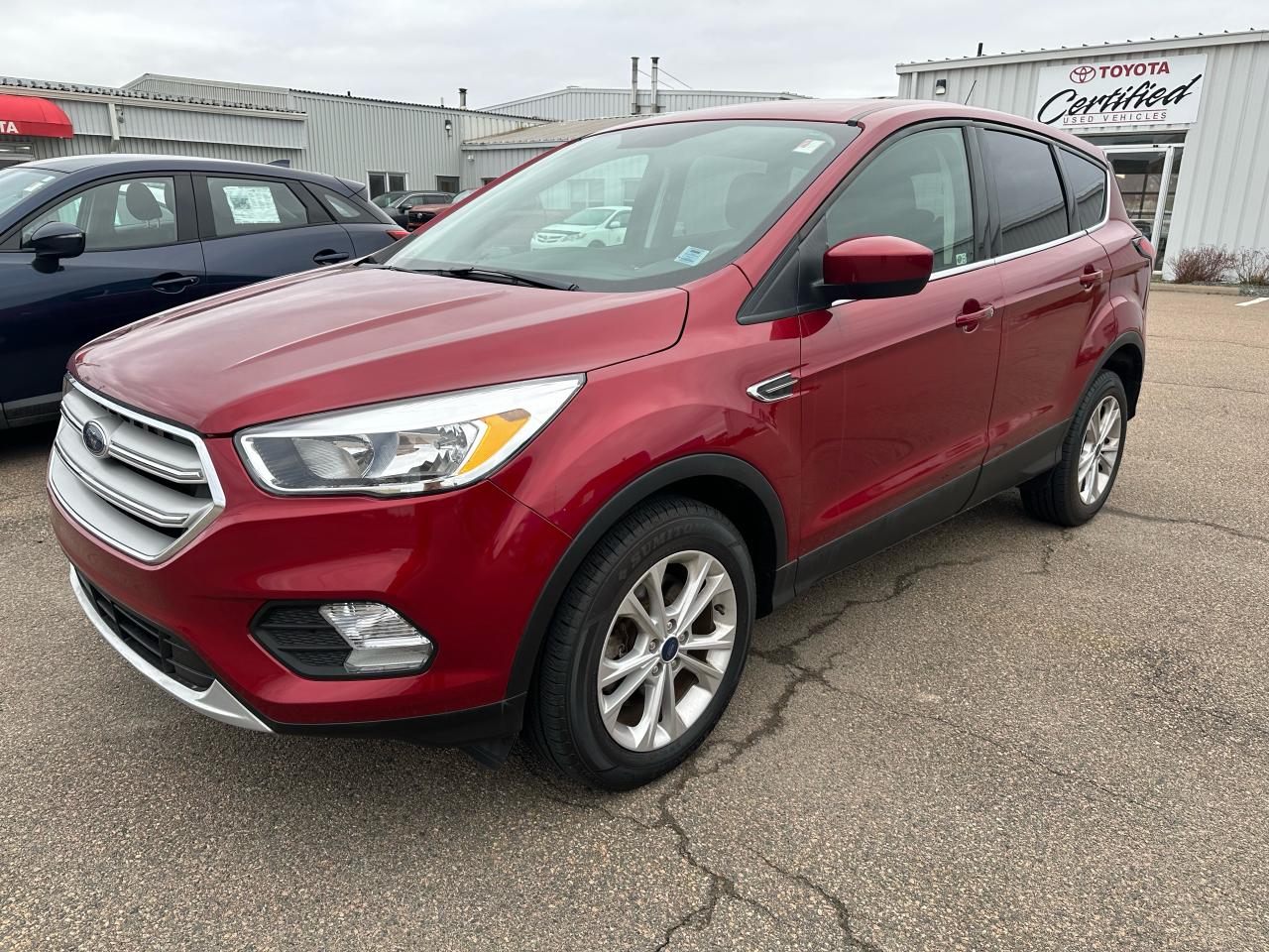 Used 2019 Ford Escape SE for sale in Port Hawkesbury, NS