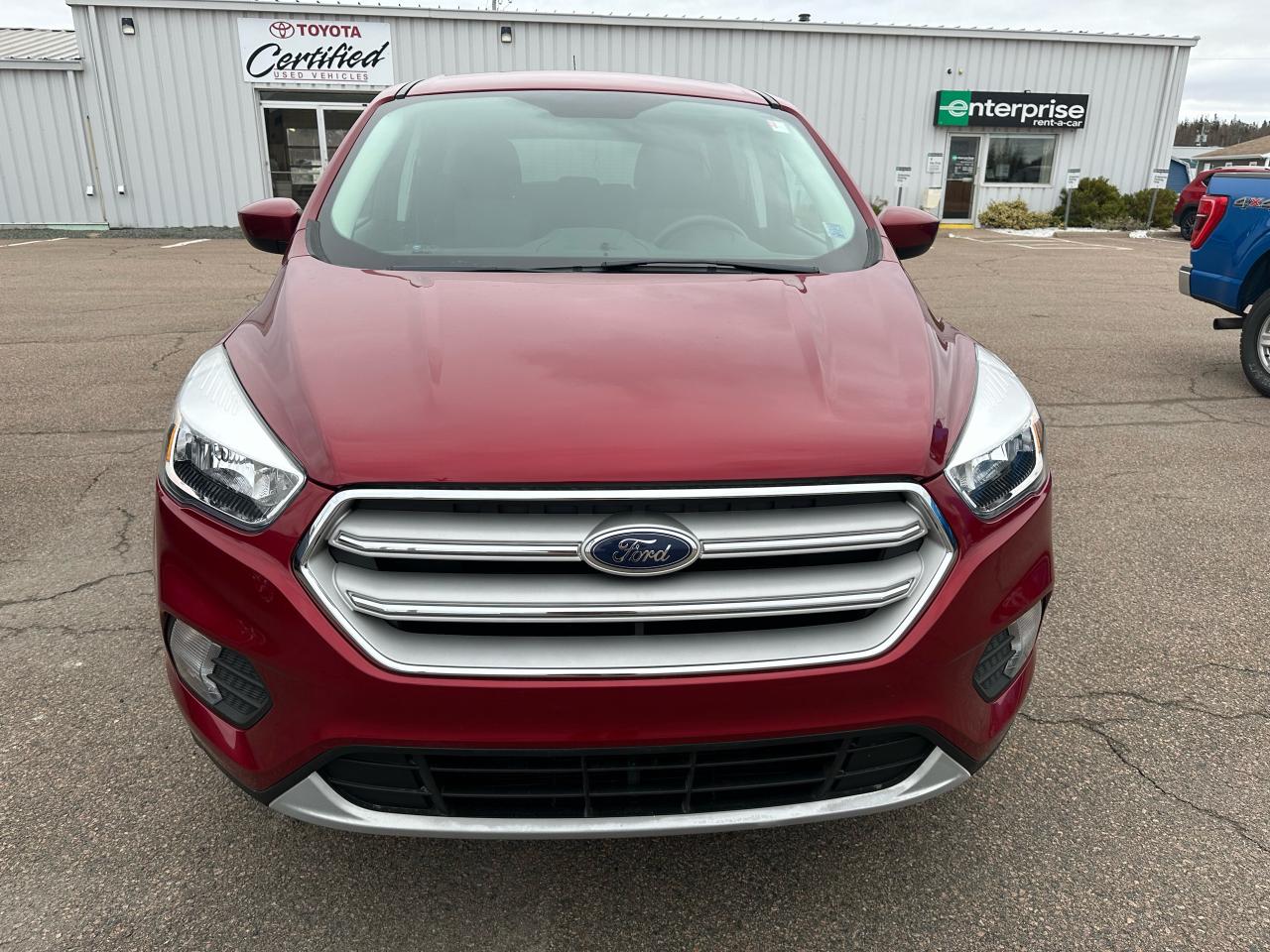 2019 Ford Escape SE Photo
