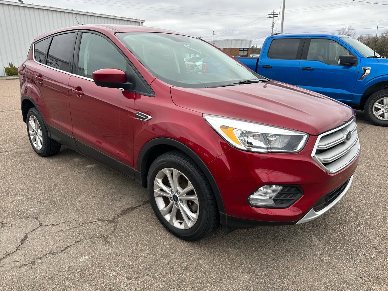 2019 Ford Escape SE Photo
