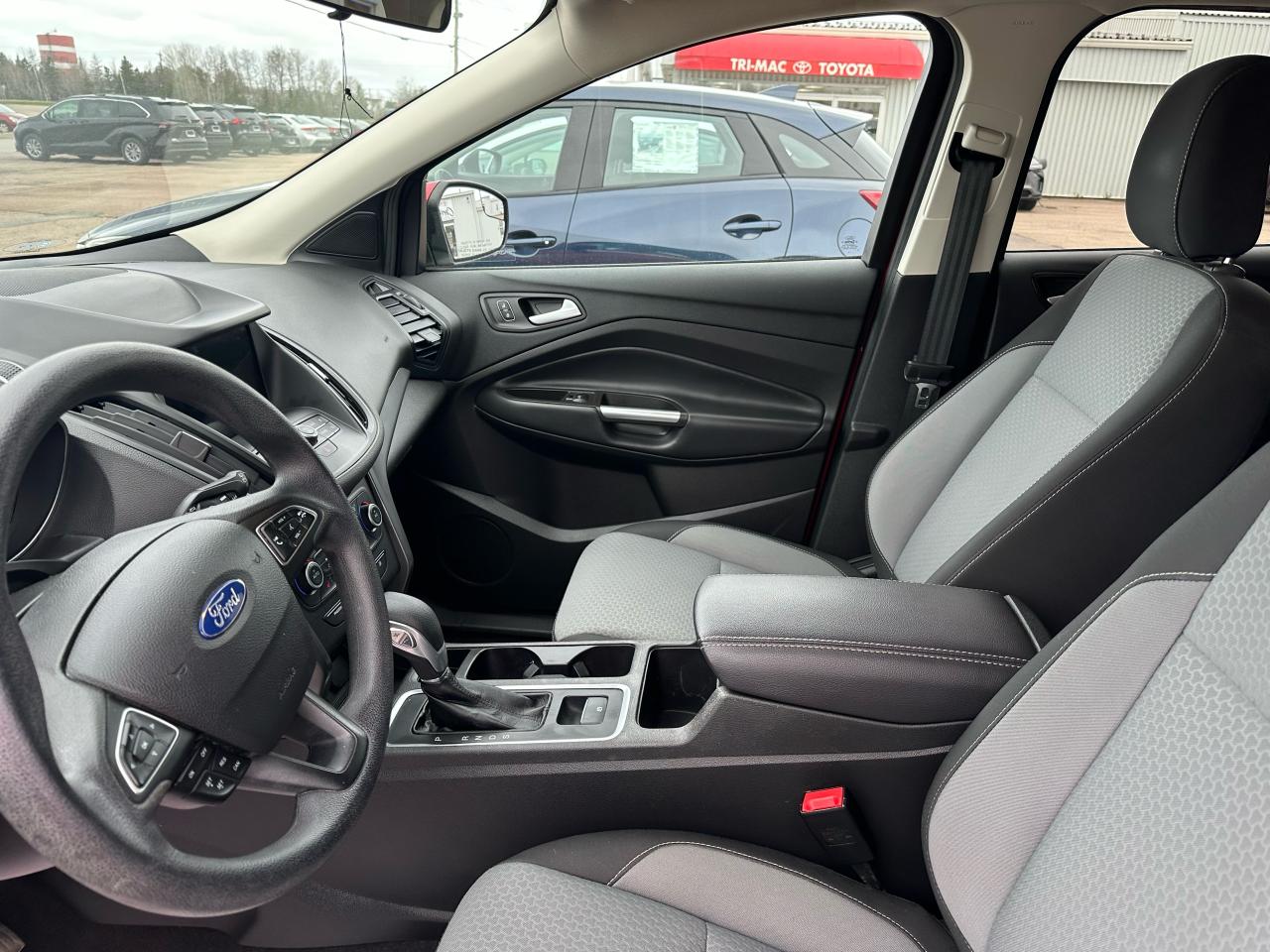 2019 Ford Escape SE Photo