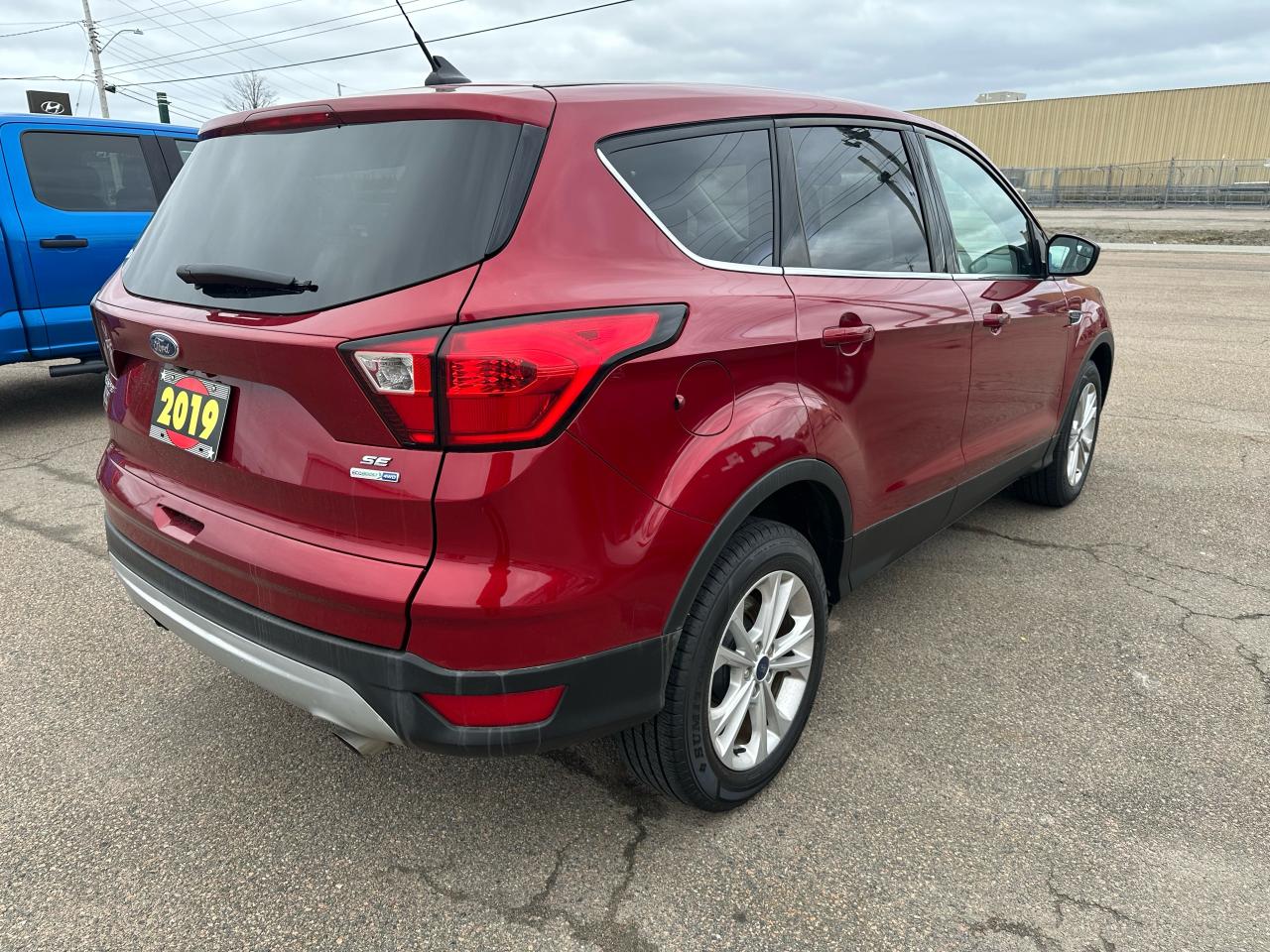 2019 Ford Escape SE Photo