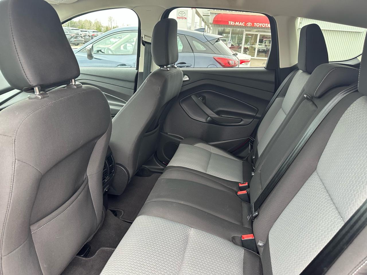 2019 Ford Escape SE Photo
