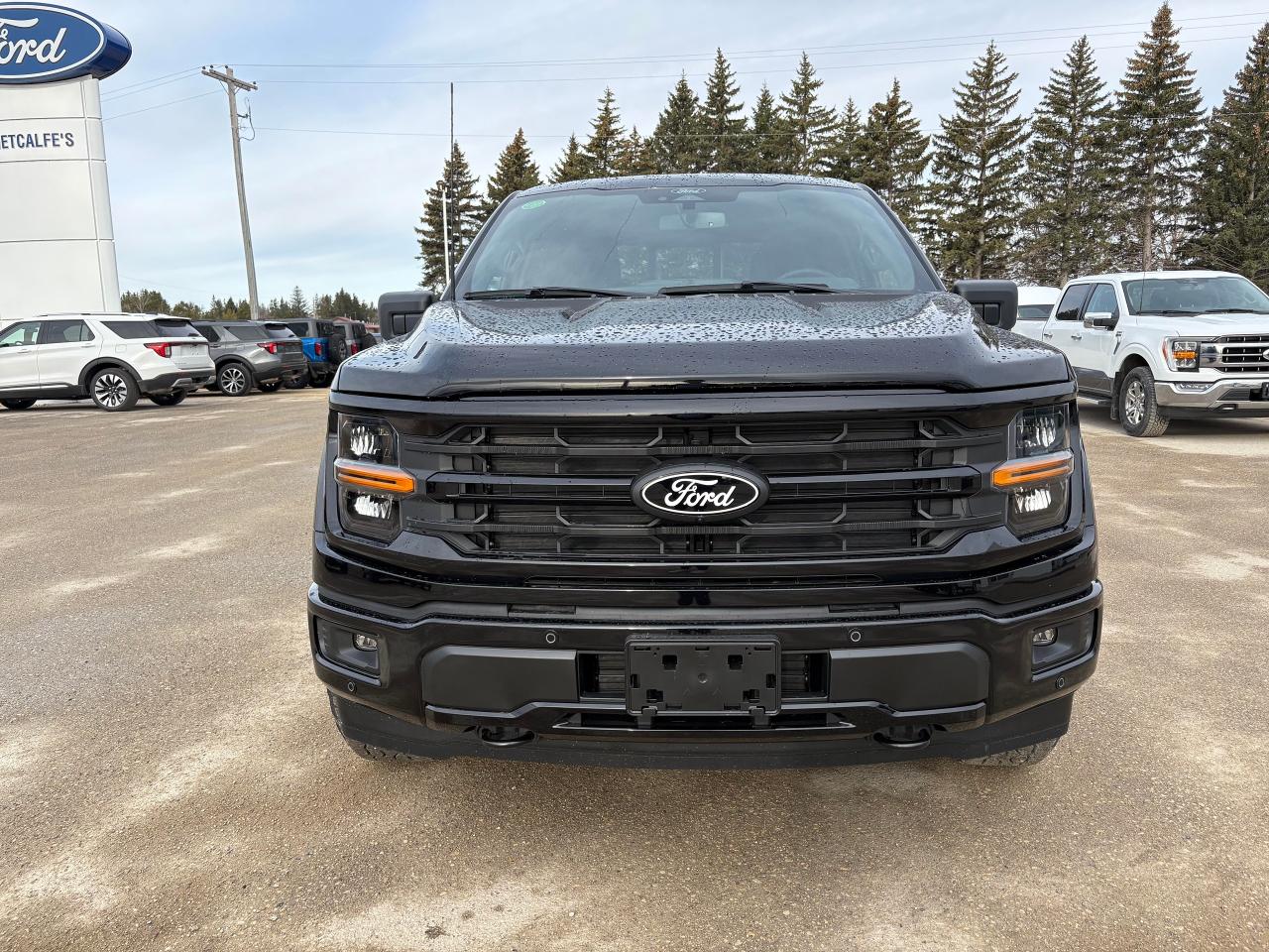 2025 Ford F-150 XLT 4WD SuperCrew 5.5' Box Photo2