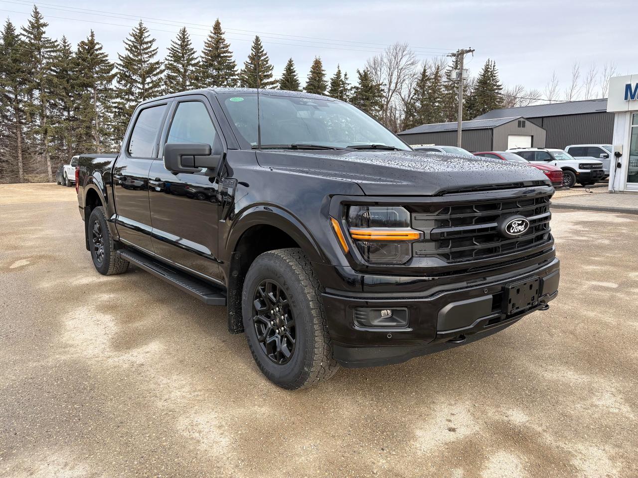 2025 Ford F-150 XLT 4WD SuperCrew 5.5' Box Photo3