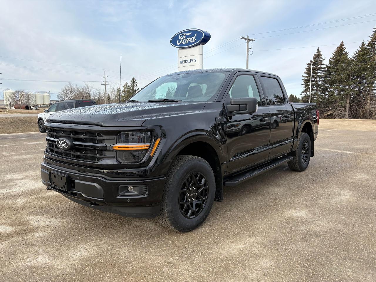 2025 Ford F-150 XLT 4WD SuperCrew 5.5' Box Photo1