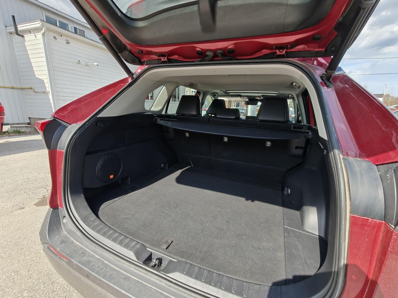 2019 Toyota RAV4 LTD Photo5