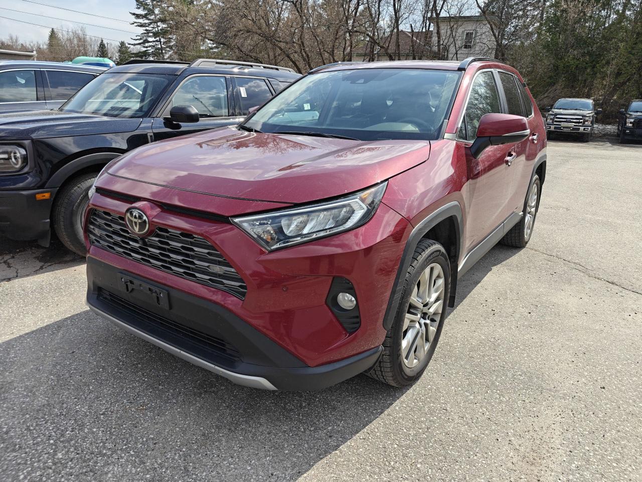 Used 2019 Toyota RAV4 LTD for sale in Killaloe, ON
