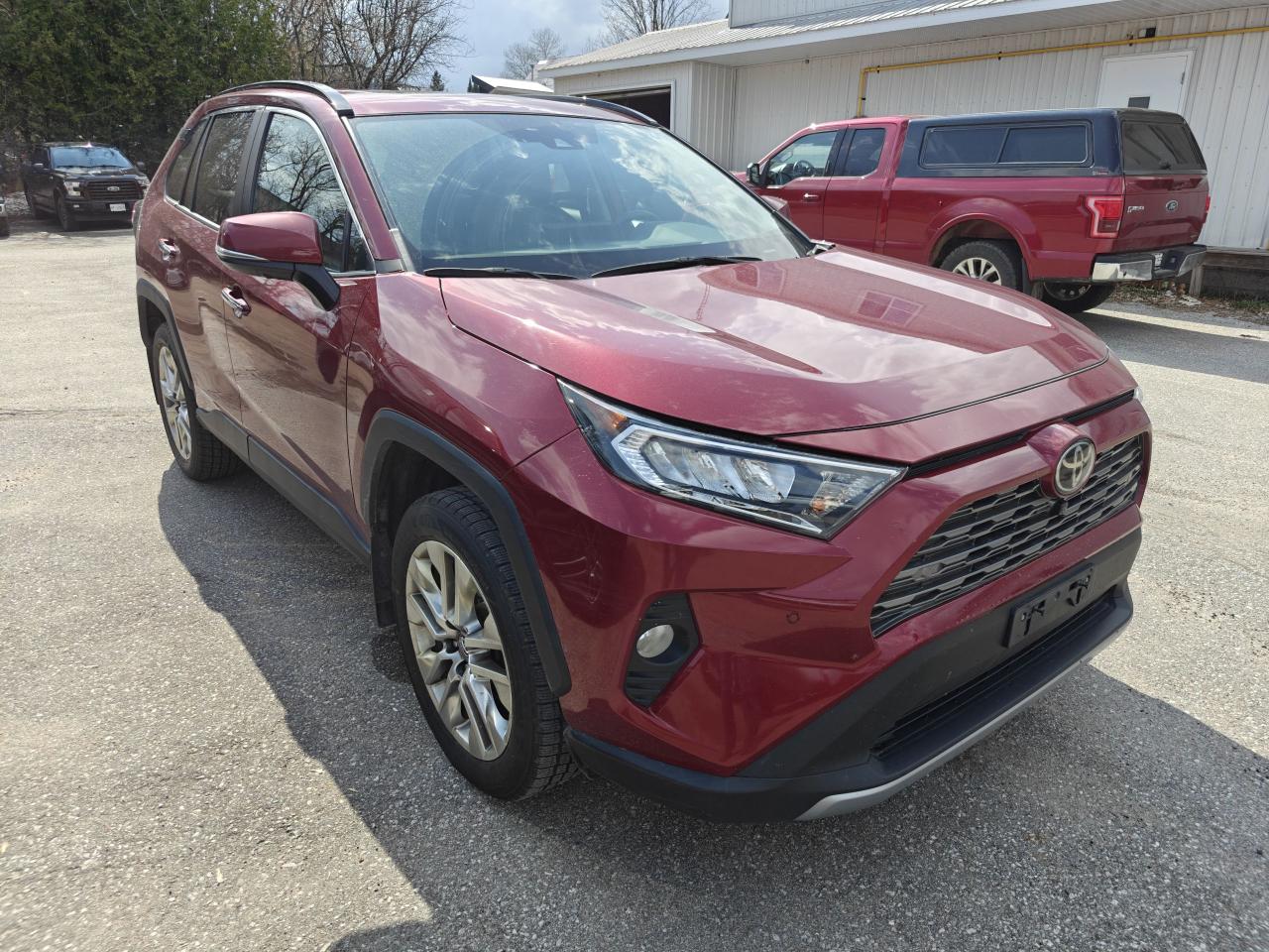 2019 Toyota RAV4 LTD Photo3