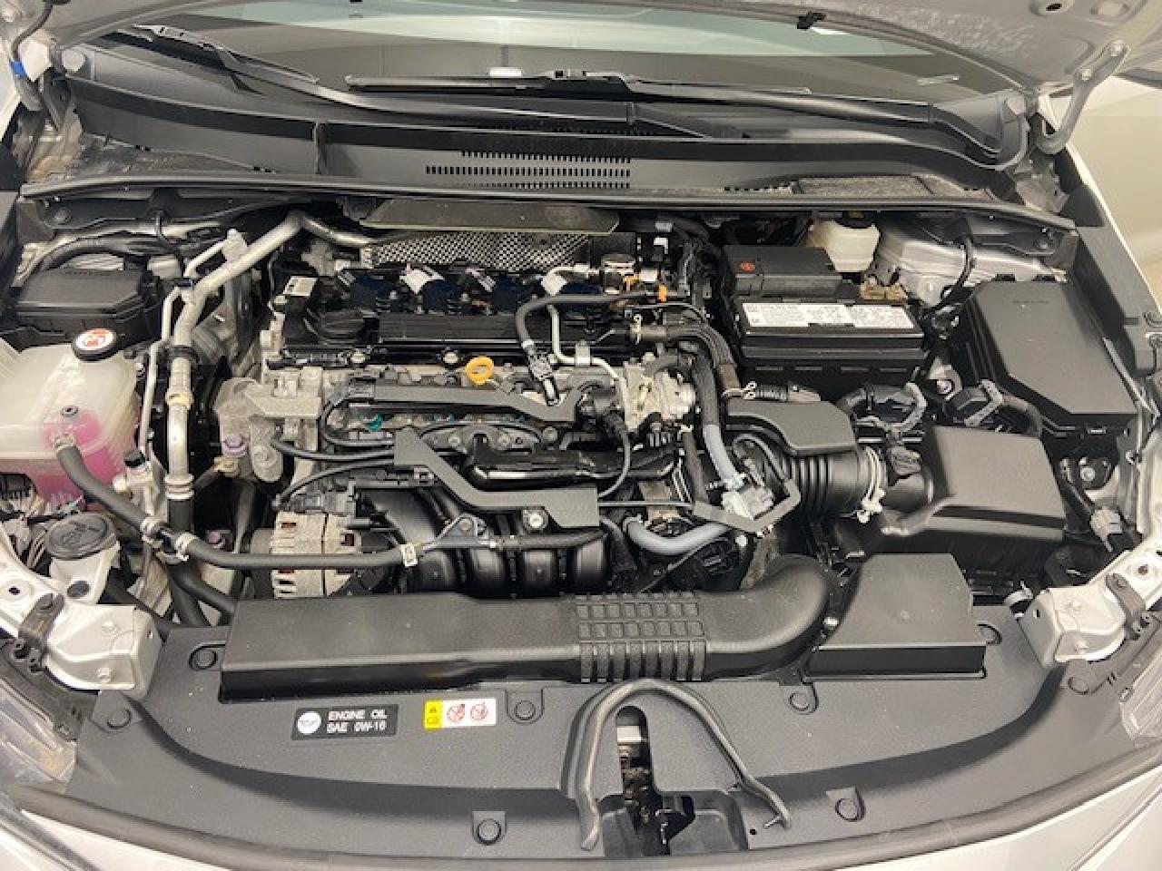 2021 Toyota Corolla SE Photo3
