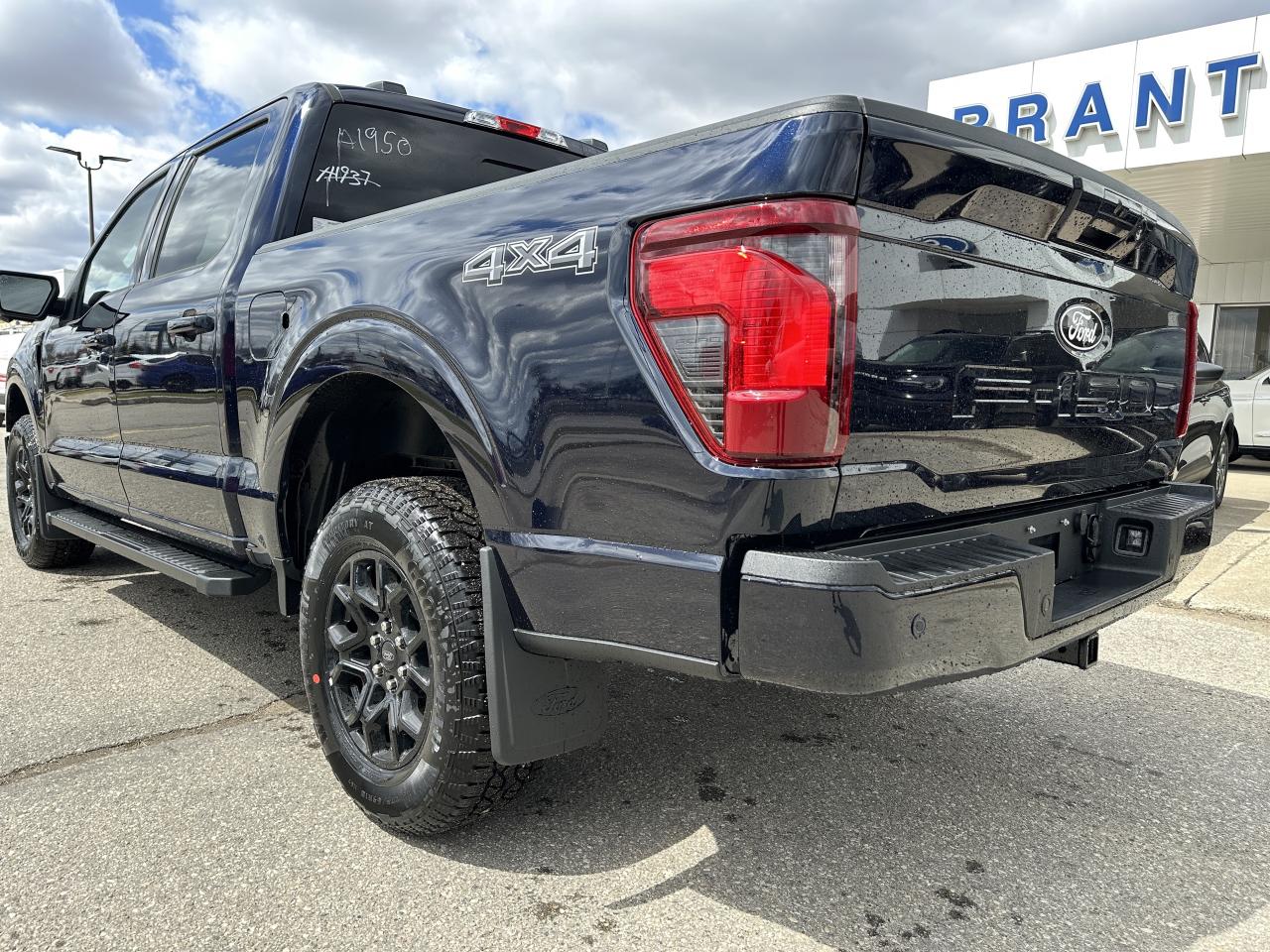 2025 Ford F-150 XLT Photo