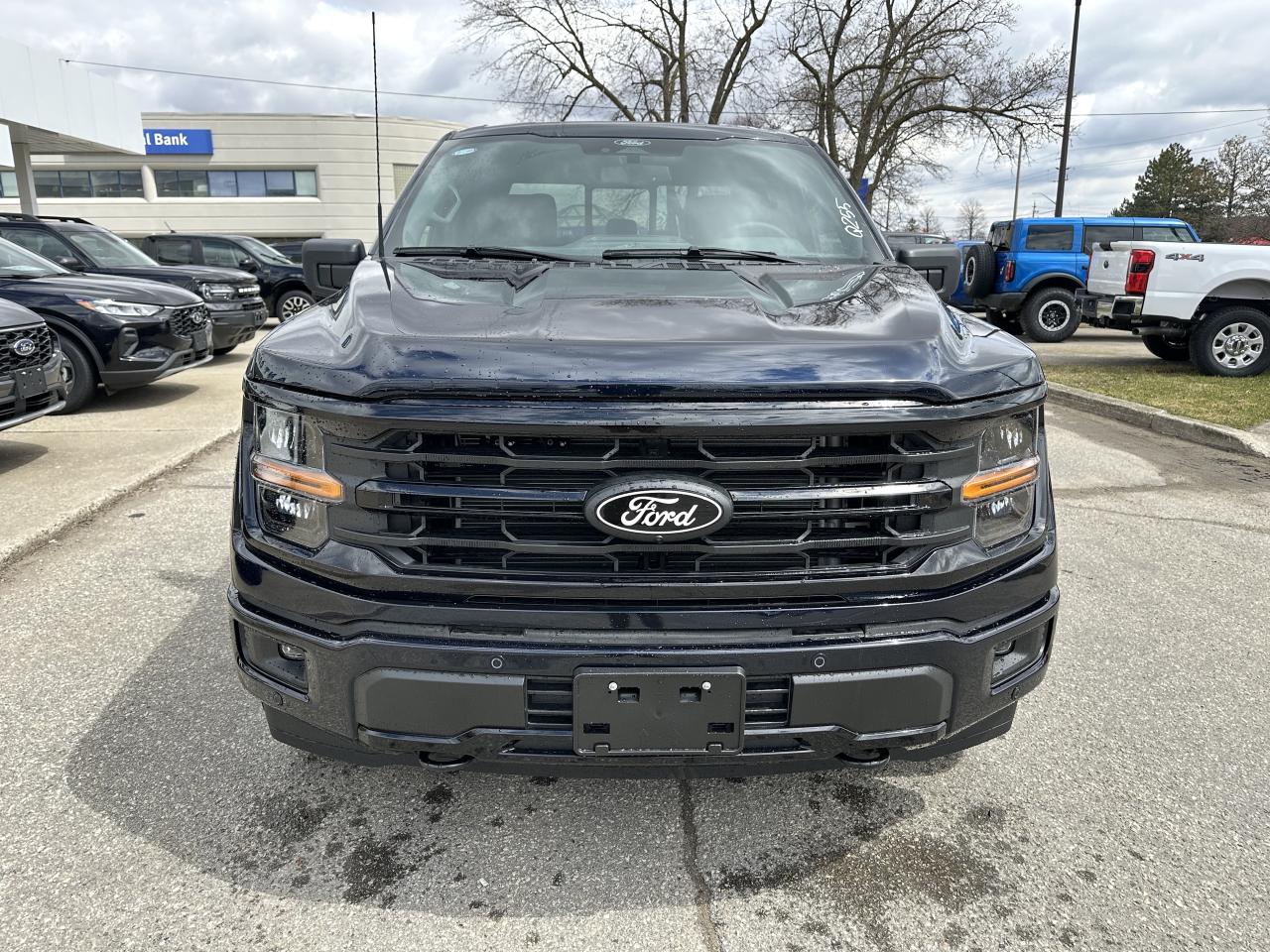 2025 Ford F-150 XLT Photo