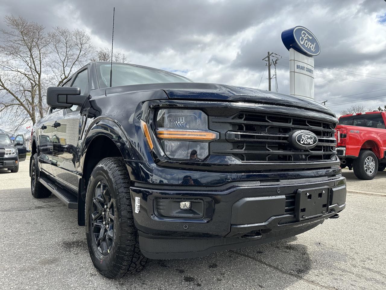2025 Ford F-150 XLT Photo