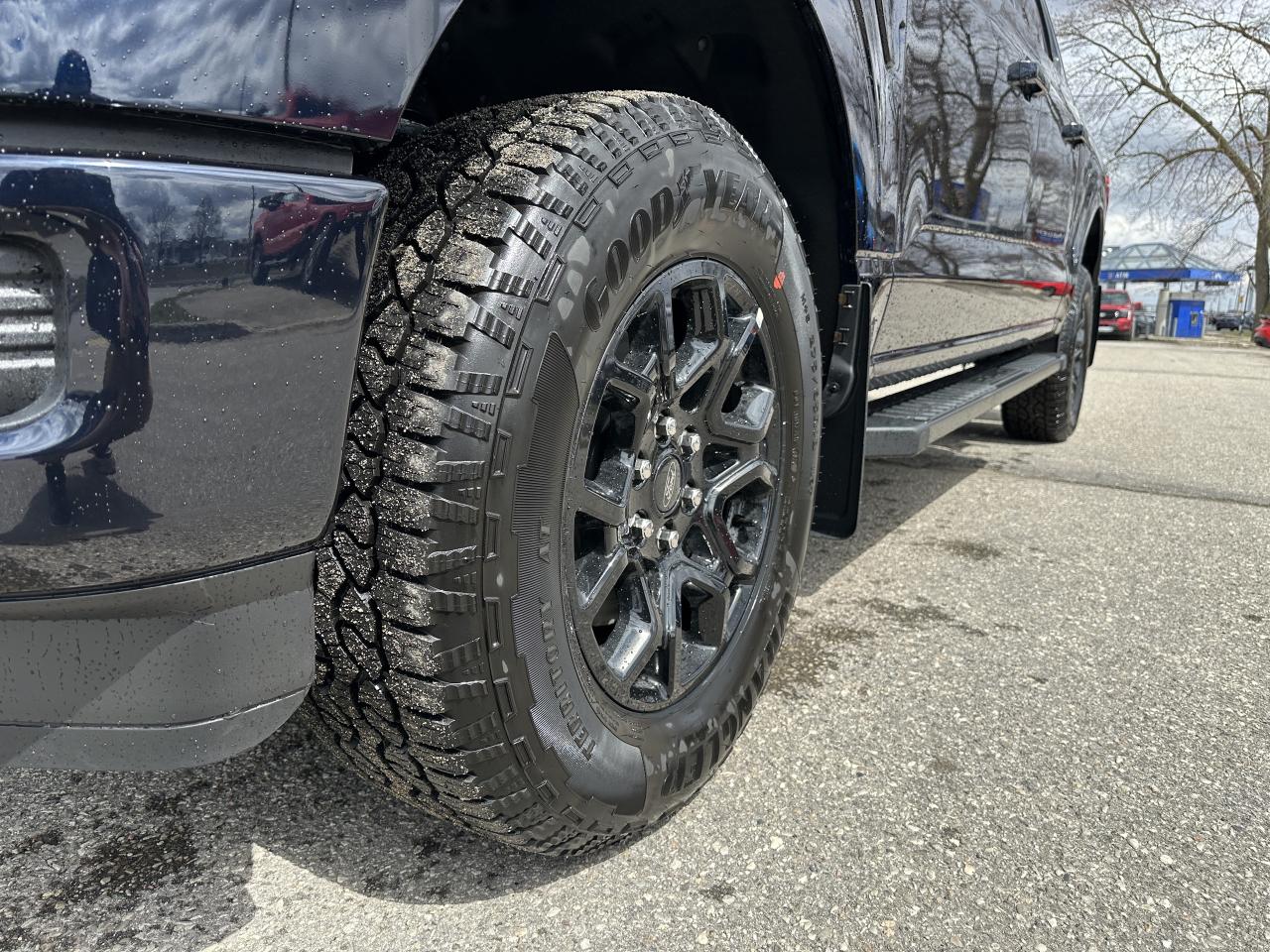 2025 Ford F-150 XLT Photo