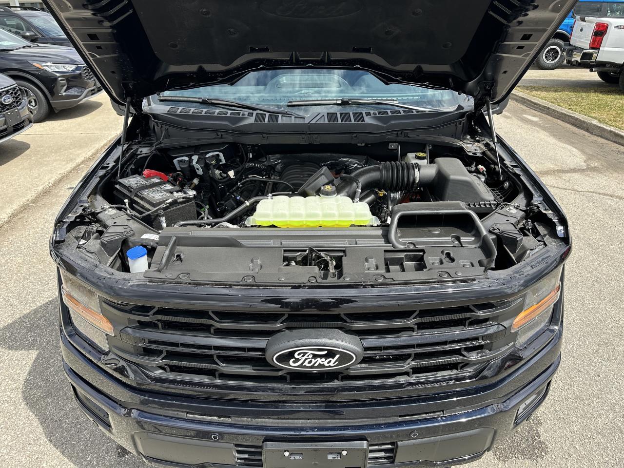 2025 Ford F-150 XLT Photo